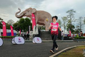 BIB: 
                            <button type="button" onclick="openModal(26528497)" class="btn btn-primary btn-sm float-right btn-popup" data-toggle="modal" data-target=".modal-high-quality">
                        <i class="fas fa-shopping-cart"></i> Add to Cart
                    </button>
                                            <button type="button" onclick="isThisMe(26528497, true)" class="btn btn-success btn-sm float-right btn-popup btn-isme hidden" data-toggle="tooltip" data-placement="bottom" title="นี่คือรูปของคุณใช่ไหม คลิกที่นี่เพื่อเอาเข้าอัลบั้ม">
                        <i class="fas fa-plus"></i> Add to album
                    </button>
                    <button type="button" onclick="isThisMe(26528497, false)" class="btn btn-warning btn-sm float-right btn-popup btn-isnotme hidden">
                        <i class="fas fa-ban"></i> Remove from album
                    </button>